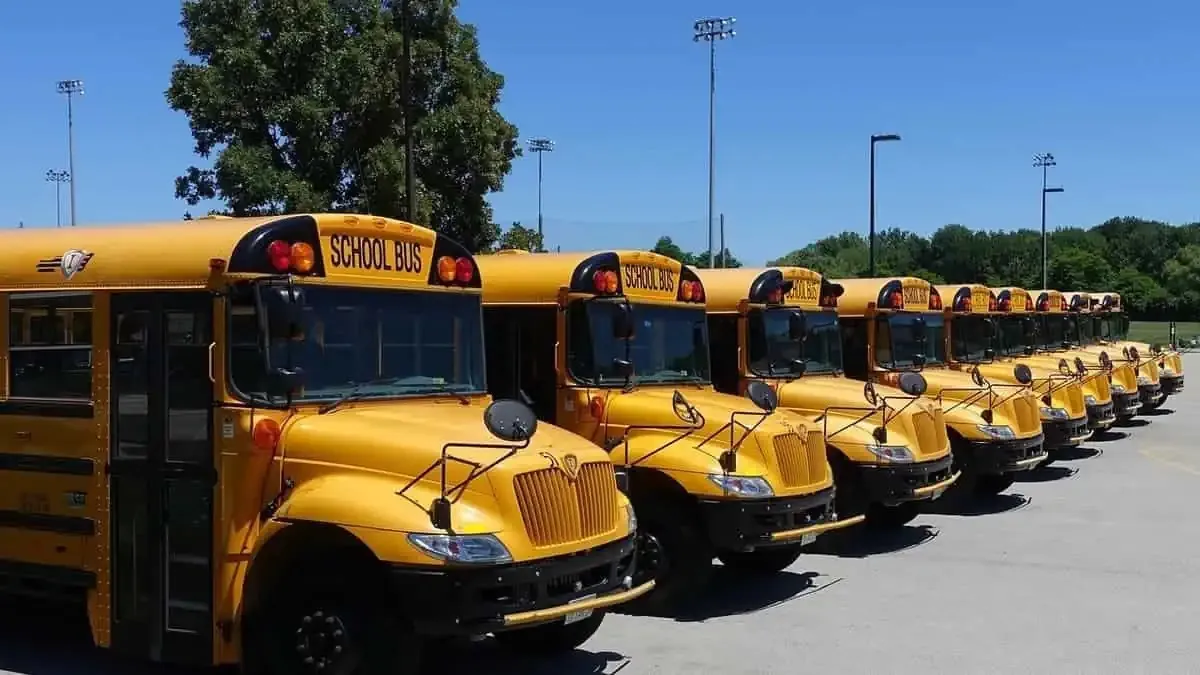 WEB Row of school busses JPEG